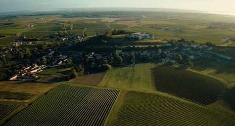 Hennessy has long touted green production practices and tree planting initiatives, which could bolster Living Landscapes' credentialing. Image credit: Hennessy