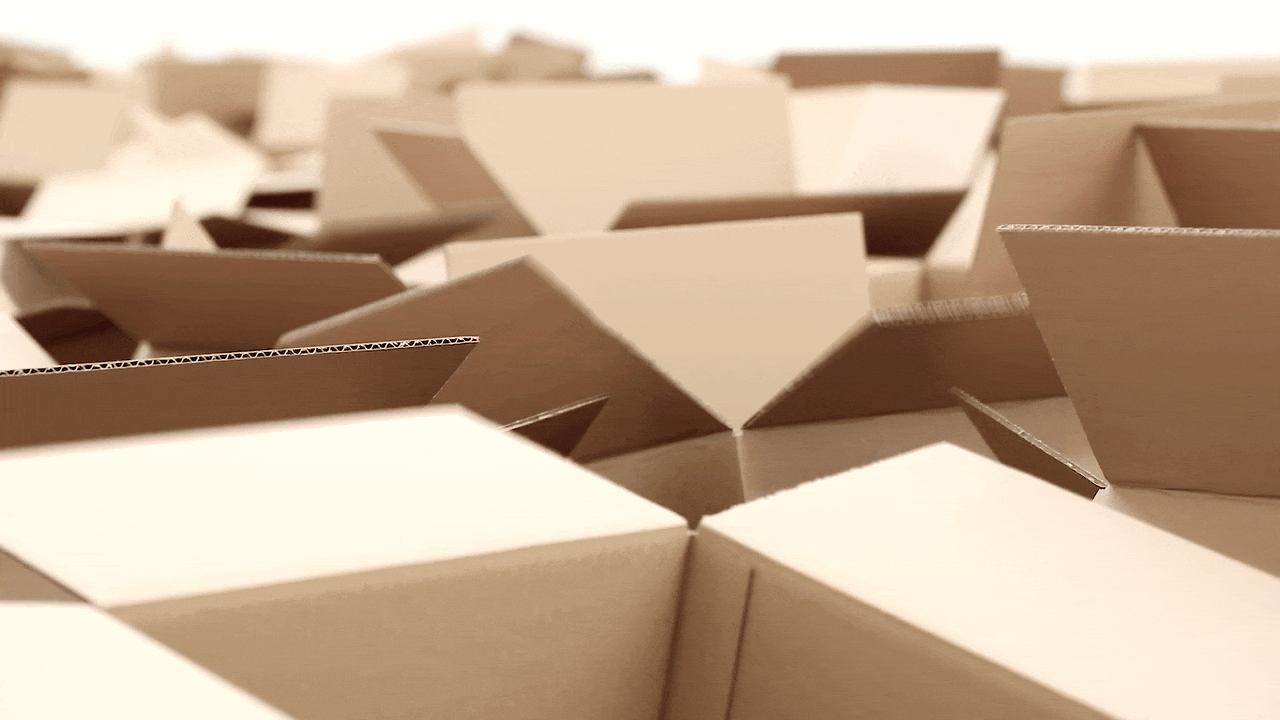 cardboard boxes rattle
